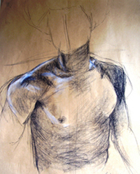 Study of Chest