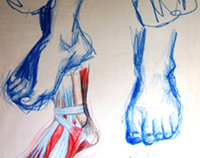 Study of Feet