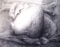 Top View of Skull